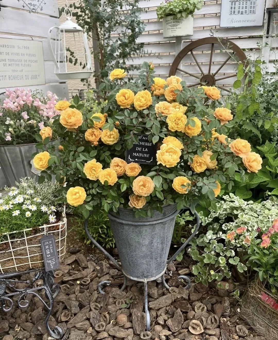 Vintage Metal Flower Bucket with Stand, Decorative Planter Vase with Scrollwork Base, Gray