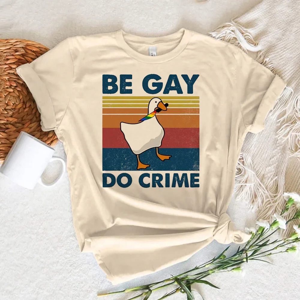 Pride tshirt women Japanese t shirt girl funny graphic clothes