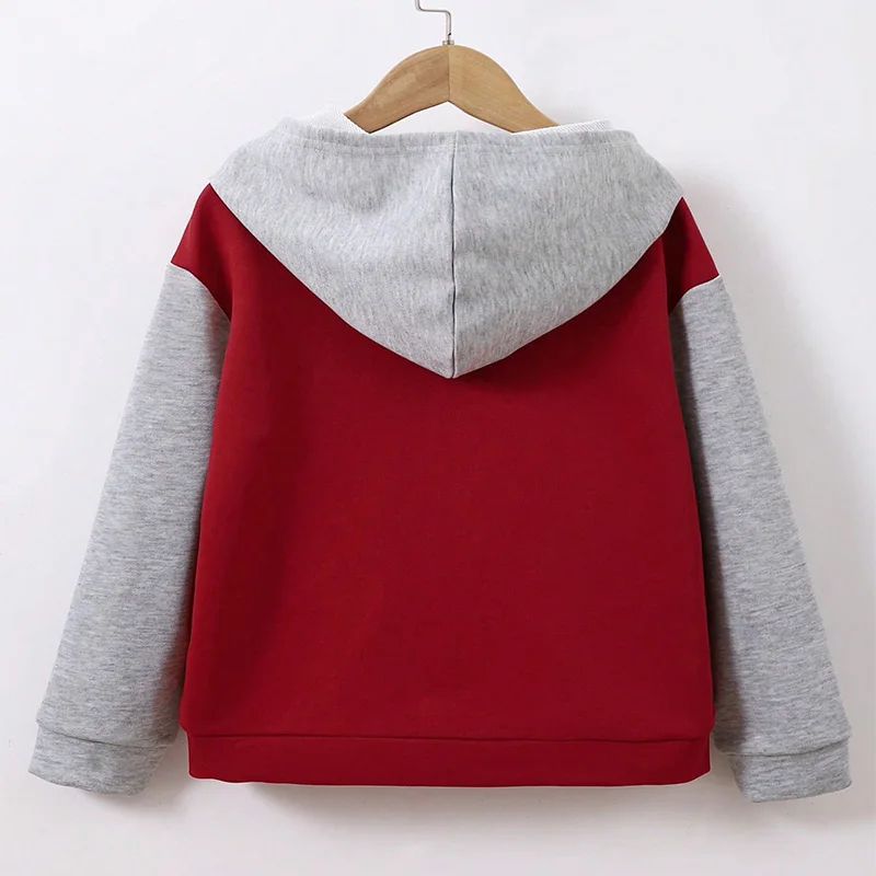 Autumn And Winter Boys Cute Cold And Warm Block Color Hooded Zipper Hoodie Coat Daily Leisure Birthday Party Clothing Clothing