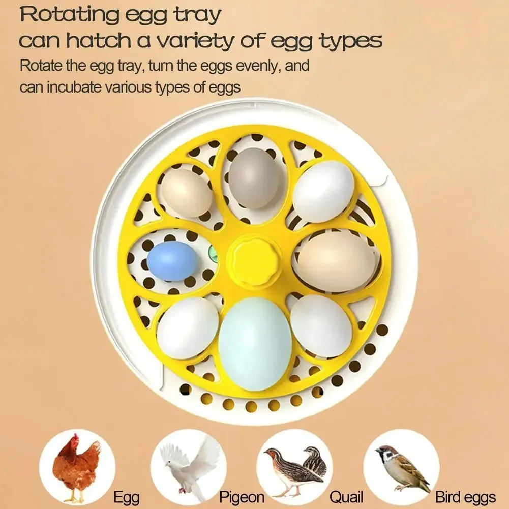 Mini Eggs Incubator Brooder Bird Quail Chick Hatchery Hatcher Farm Tray Automatic Poultry New Tools Incubation Incubator