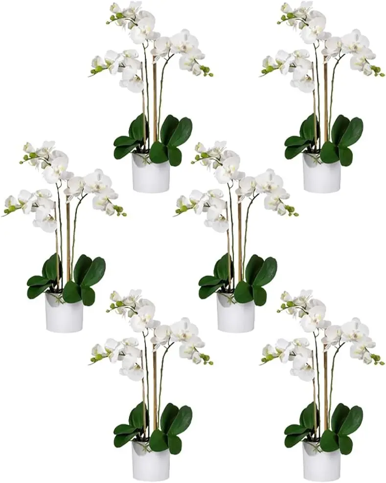 White Realistic Phalaenopsis Orchids in Pot, Artificial Potted Flowers - Beautiful Entryway Vase