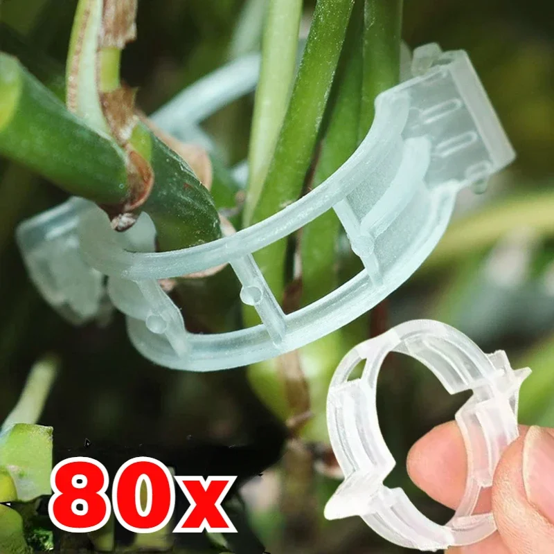 Herbruikbare Plant Ondersteunt Clips Plastic Verbindingen Fixeren Wijndruif Tomaat Stengel Clip Enten Groenteplanten Boomgaard Tuingereedschap