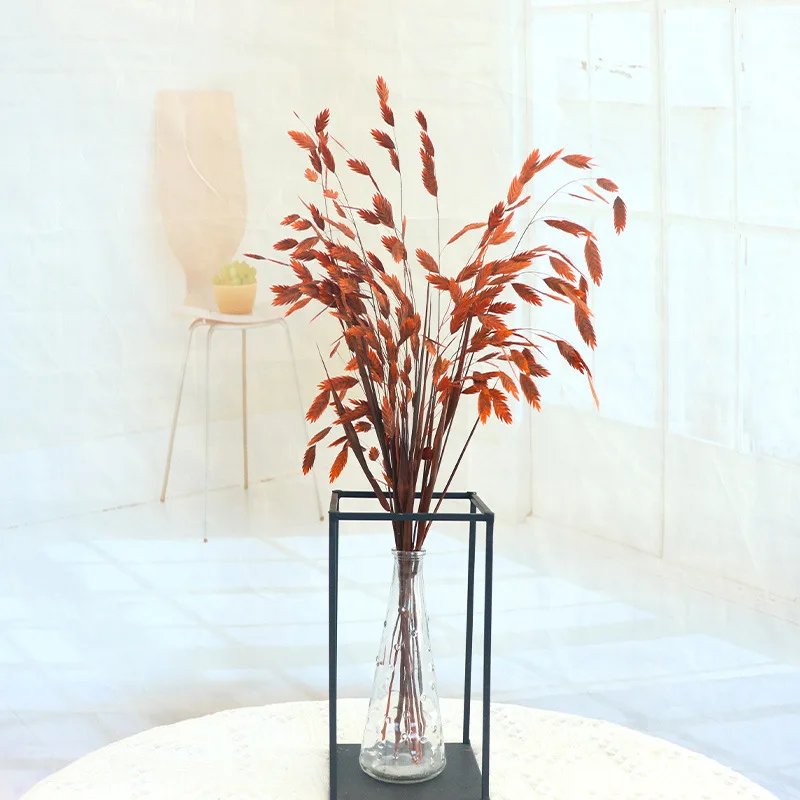 10pcs 50~60cm Preserved Flower of Small Hope Grass Dried Flower Bouquet Space Window Display Living Room Wedding Decoration