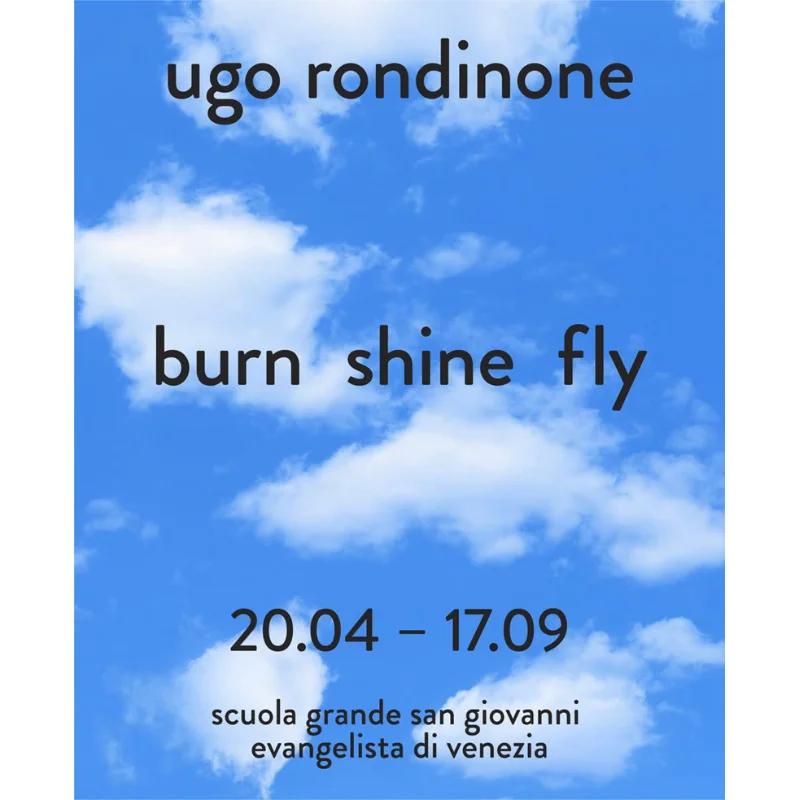 Ugo Rondinone Bilingual Ed Burn Shine Fly Javier Molins Paola Gribaudo Skira Editore 9788857247946 Book