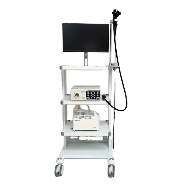 Pet Hospital Clinic Veterinary Endoscopy Tower Flexible Electronic Gastrointestinal Endoscope veterinary