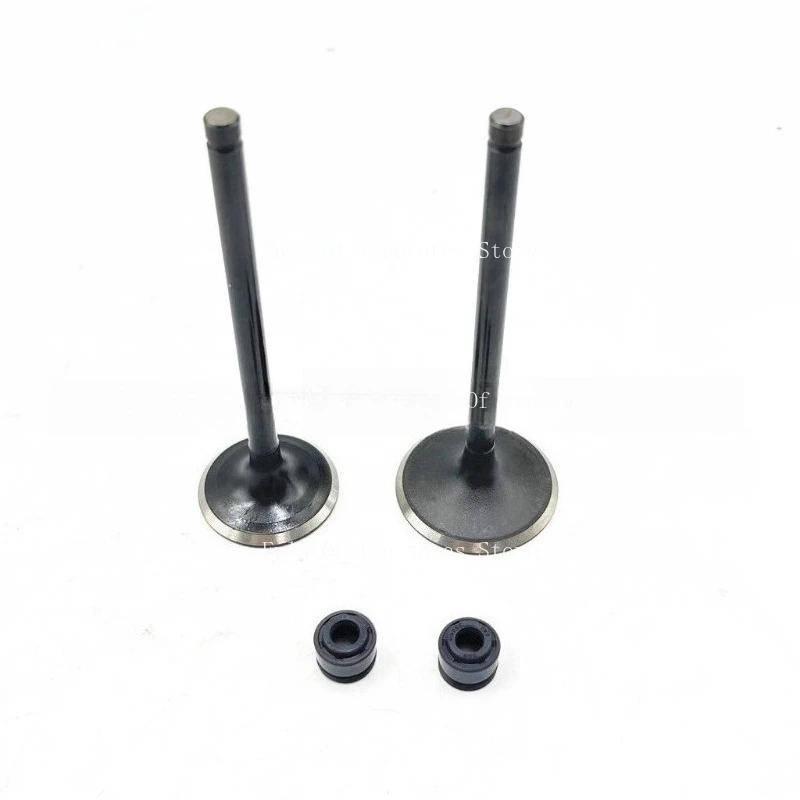 

The Intake and Exhaust Valves Are Suitable for HS250 250CC with Gasket Oil Seal 14711-013-0000