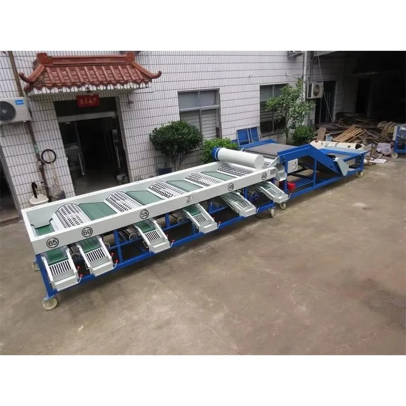 Full Set Fruit Size Grading Sorting Line Automatic Feeding Fruit Sorter Machine For Berry Fruit Processing Custom Available