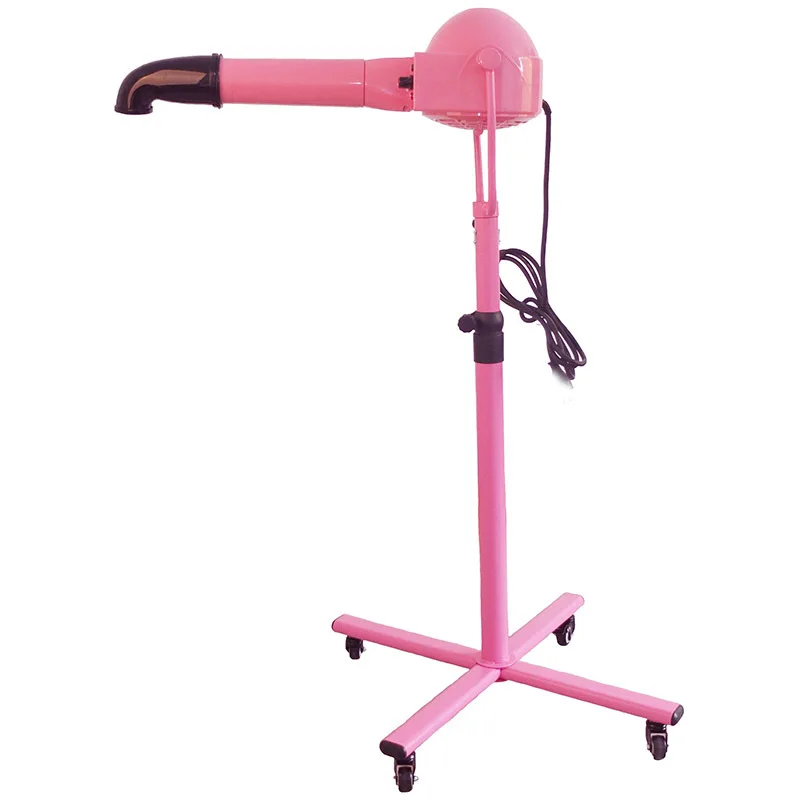 Pet shop, beauty teddy than bear dog, silent big hair dryer negative ion