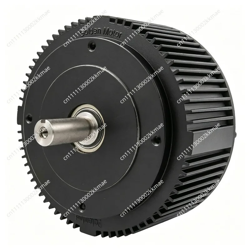 48V 5KW Air-cooled Water-cooled Motor, Electric Kart Motor 72v Motorcycle Brushless Motor High Power