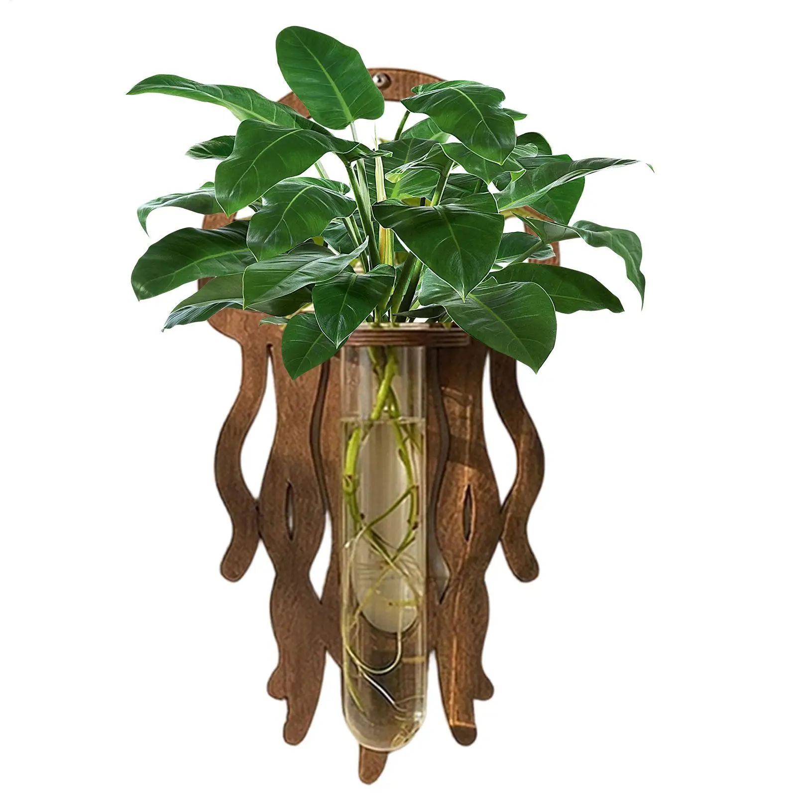 Wall Propagation Station Jellyfish Wood Room Decoration Test Tube Flower Vase For Gardeners Growers Beginners Professionals Home