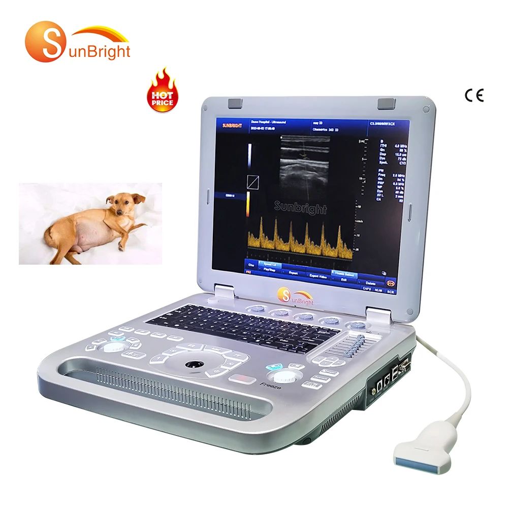 Pulse Wave Doppler Medical 15 Inch PC-based Vet Ultrasound Device