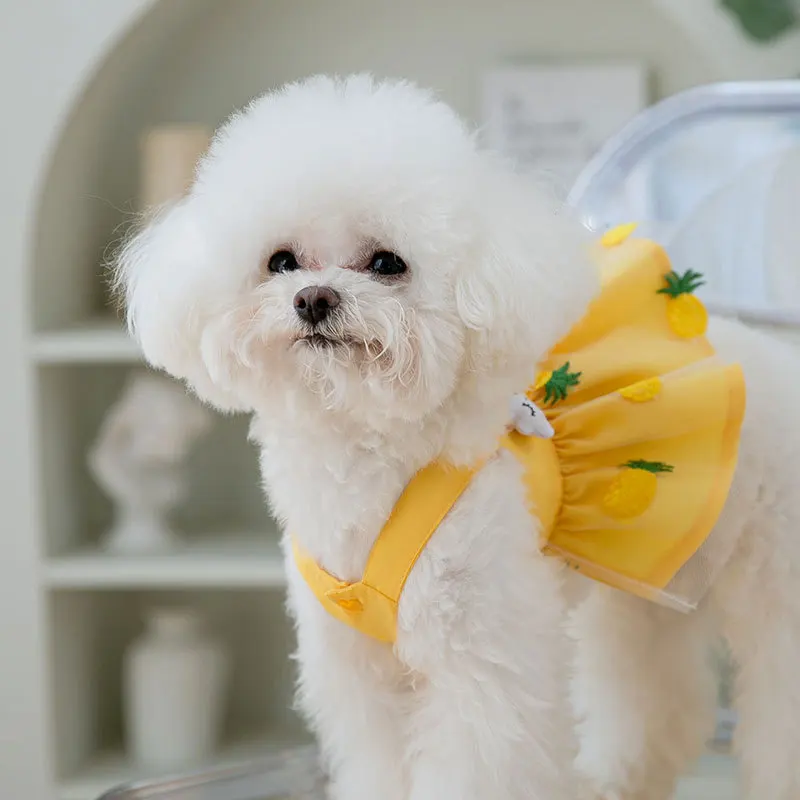Sommer-Erdbeerkleid für Hunde, Haustierkleidung, Hosenträgerrock für Hunde, Hundekleidung, Katzen, Welpen, Aufdruck, niedlicher Hund, Netzkleid, Heimtierbedarf – Detail 18