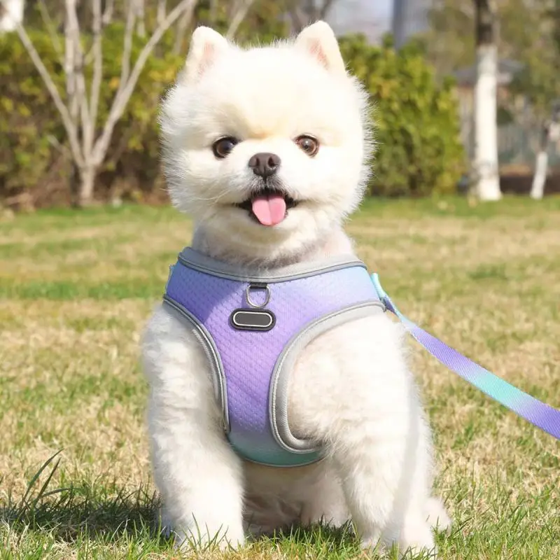 Ajustável poliéster arnês e trela conjunto para cães pequenos, cachorro, colete de gato, caminhada ao ar livre, acessórios pet