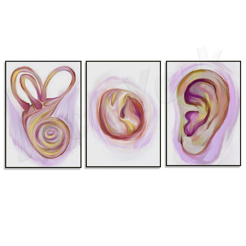 Anatomía de otorrinolaringología, regalos de otorrinolaringología, arte de anatomía del oído - Arte de audiología - Póster de decoración de oficina médica de otorrinolaringología