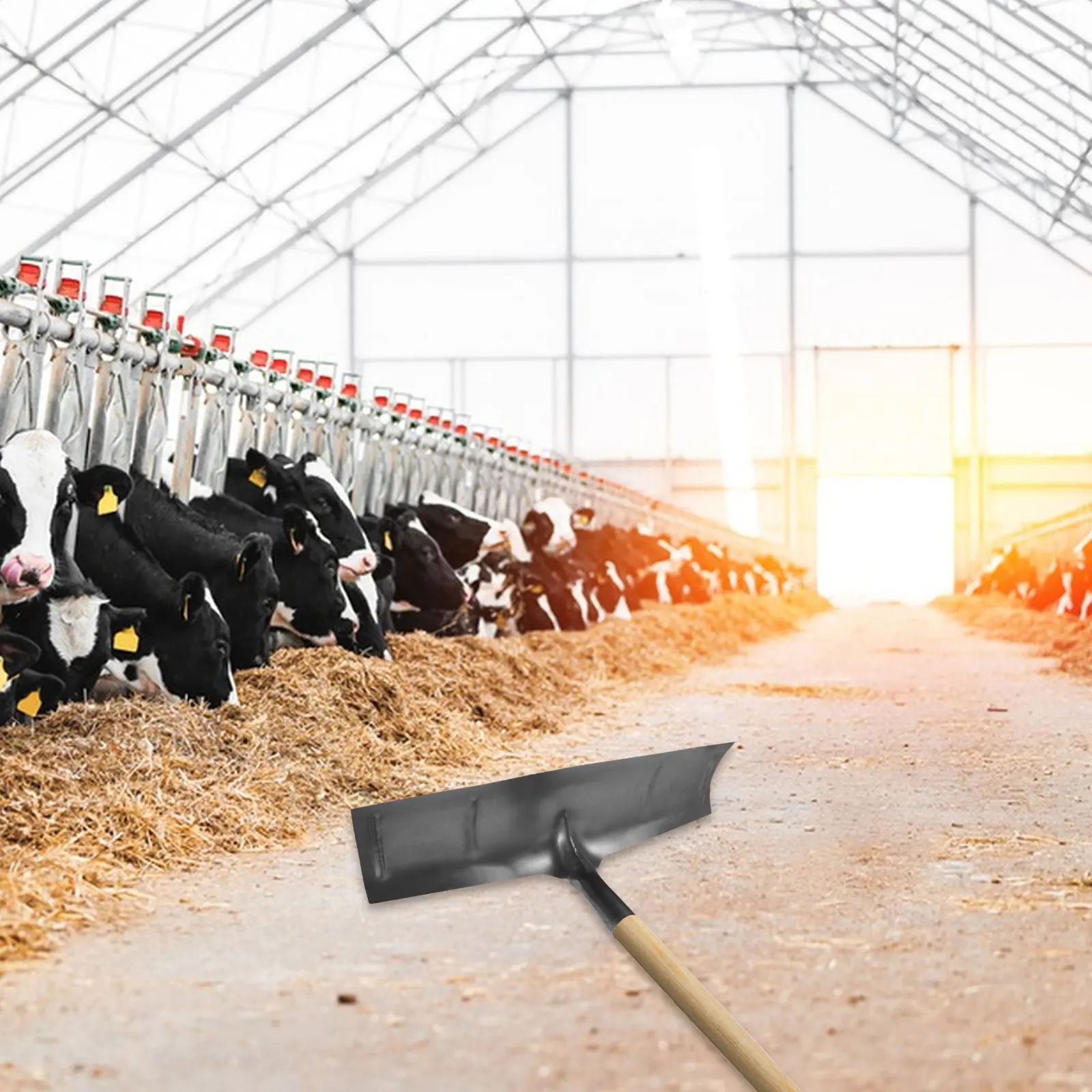 

Manure Scraper Heavy Duty Steel Scraper Shovel Multifunctional Poultry Farm Cleaning Tool Chicken Coop Dung Shovel