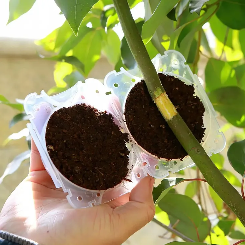 Plant Rooting Ball High Pressure Propagation Root Grafting Rooting Box Breeding Case Plant Root Growing Box Garden Plant Supply