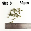 Green S
