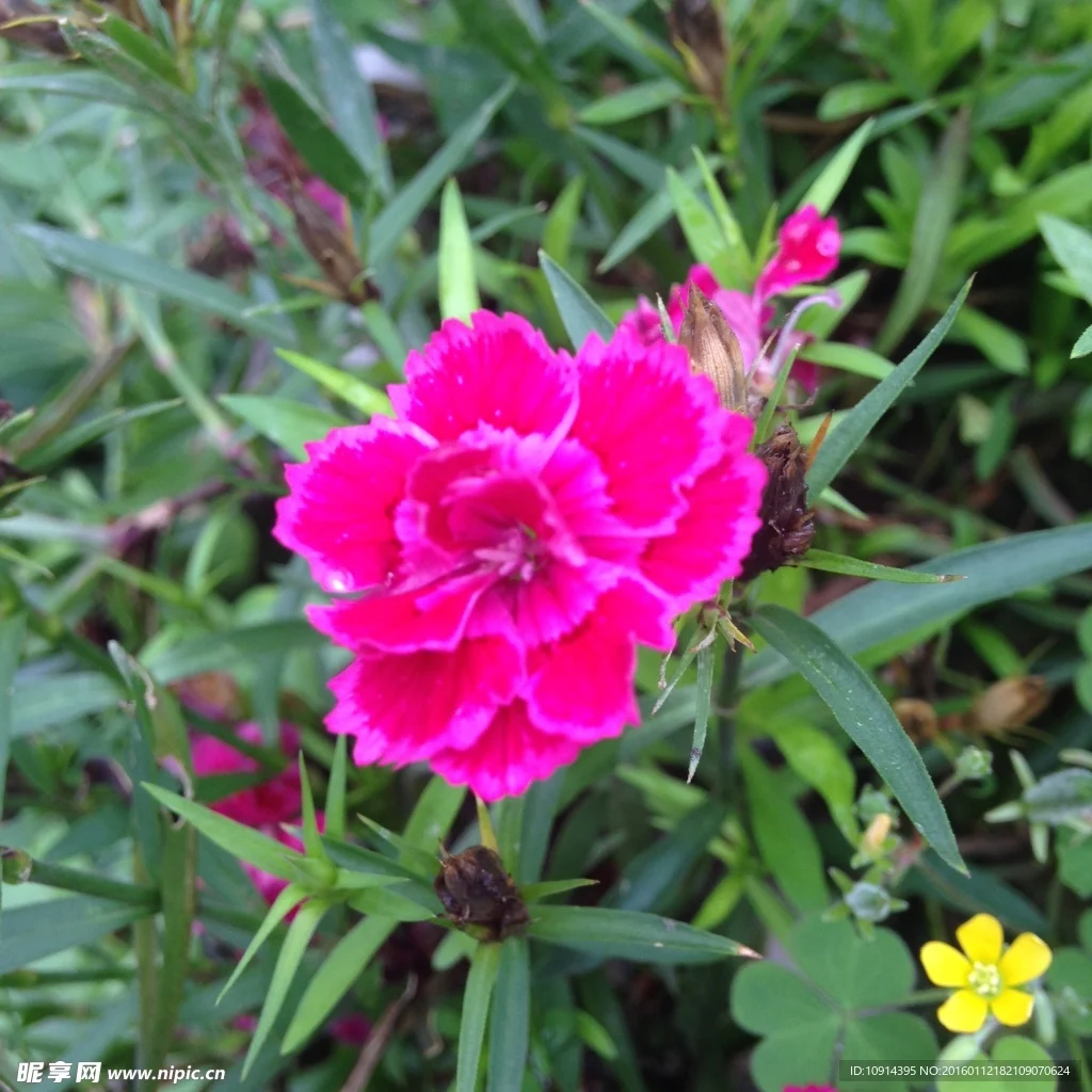 

Черные латунные диски Beadlock 1.0 дюйма -2.65 мм с шинами для радиоуправляемых краулеров 1/24 1/18 TRX4M SCX24 FCX24. Модернизация.