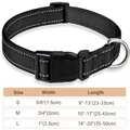 black collar