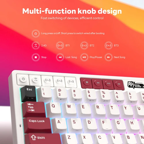 Imagen 2 del producto Teclado Gamer con pantalla de batería RK ROYAL KLUDGE M65, 66 teclas, junta multifuncional PBT, Teclado mecánico inalámbrico RGB de tres modos