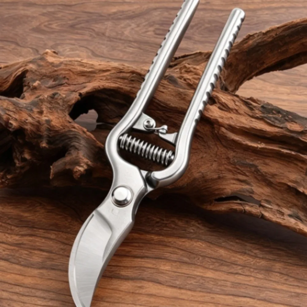 Compact Stainless Steel Pruning Shears for Bonsai Artists and Home Gardeners Requiring Reliable Cutting Control