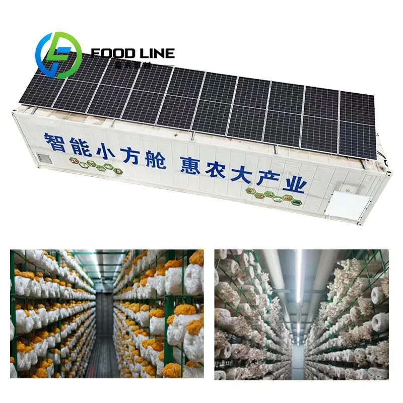 Large Intelligent Climate-Controlled Mushroom Container Easy Installation Low Cost Plastic Film Single Agricultural Greenhouse