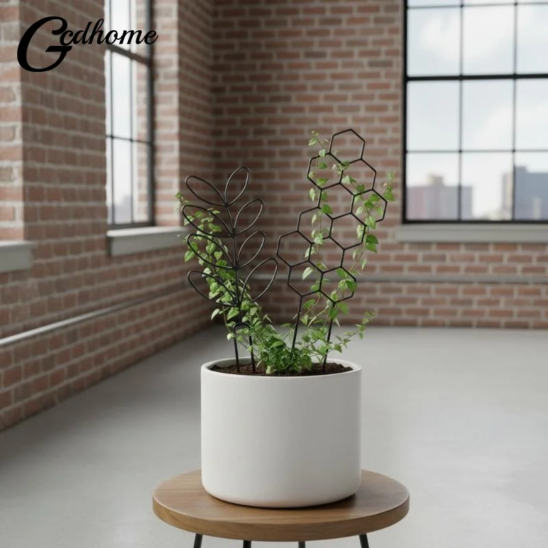 3Pcs Plant Support Frame Climbing Rack Kit for Plant Growth Organizer Sturdy Structure for Indoor Pot Decor