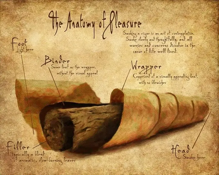 Retro Metal Tin Sign 12 X 16 Inches The Anatomy of Pleasure Cigar Poster Cigar Smoker Gifts Man Cave Decor Gifts for Fathers Fun