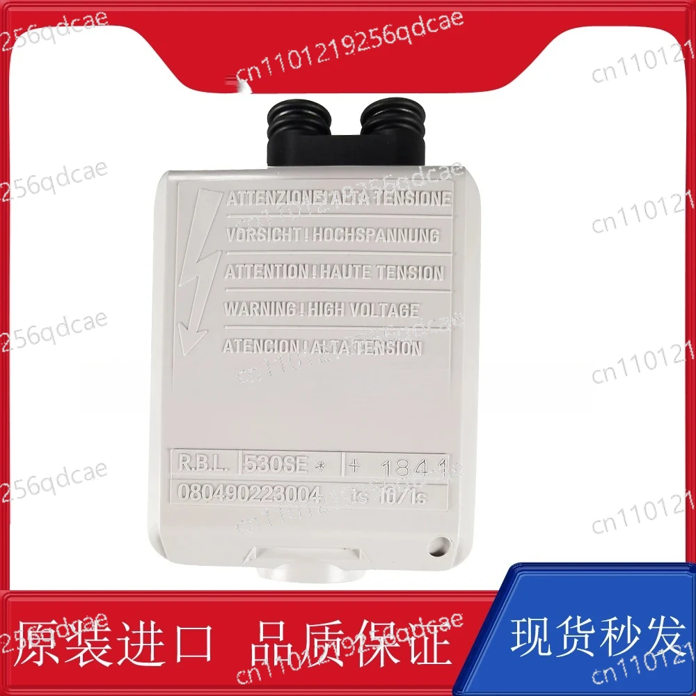 Burner 40G Series RBL Imported 530SE Program Domestic GEOX Ignition Controller