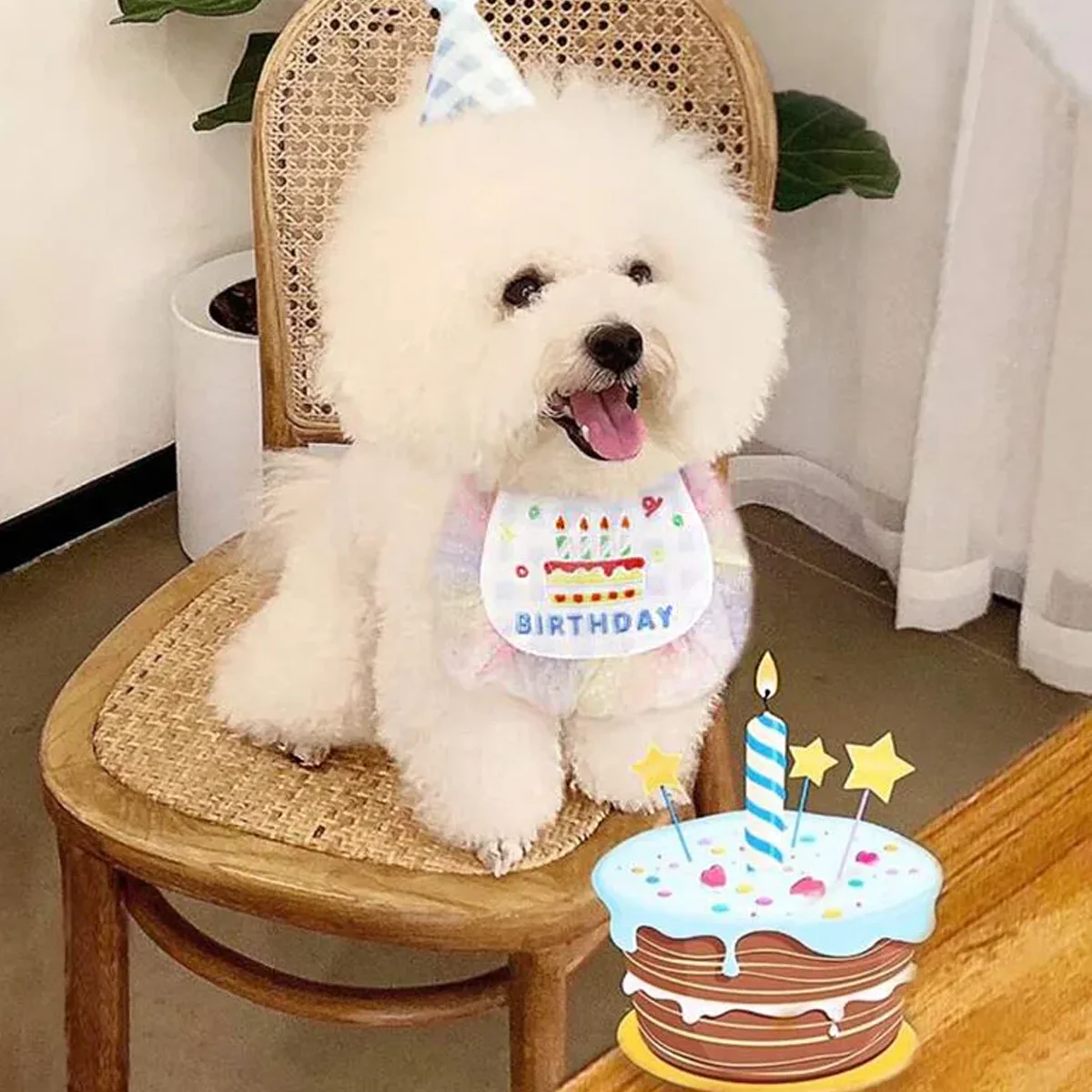 Pet Birthday Party Set, Cute Cat Dog Bib with Hat, Happy Birthday Gradient Ruffle Collar for Pet Birthday Celebration