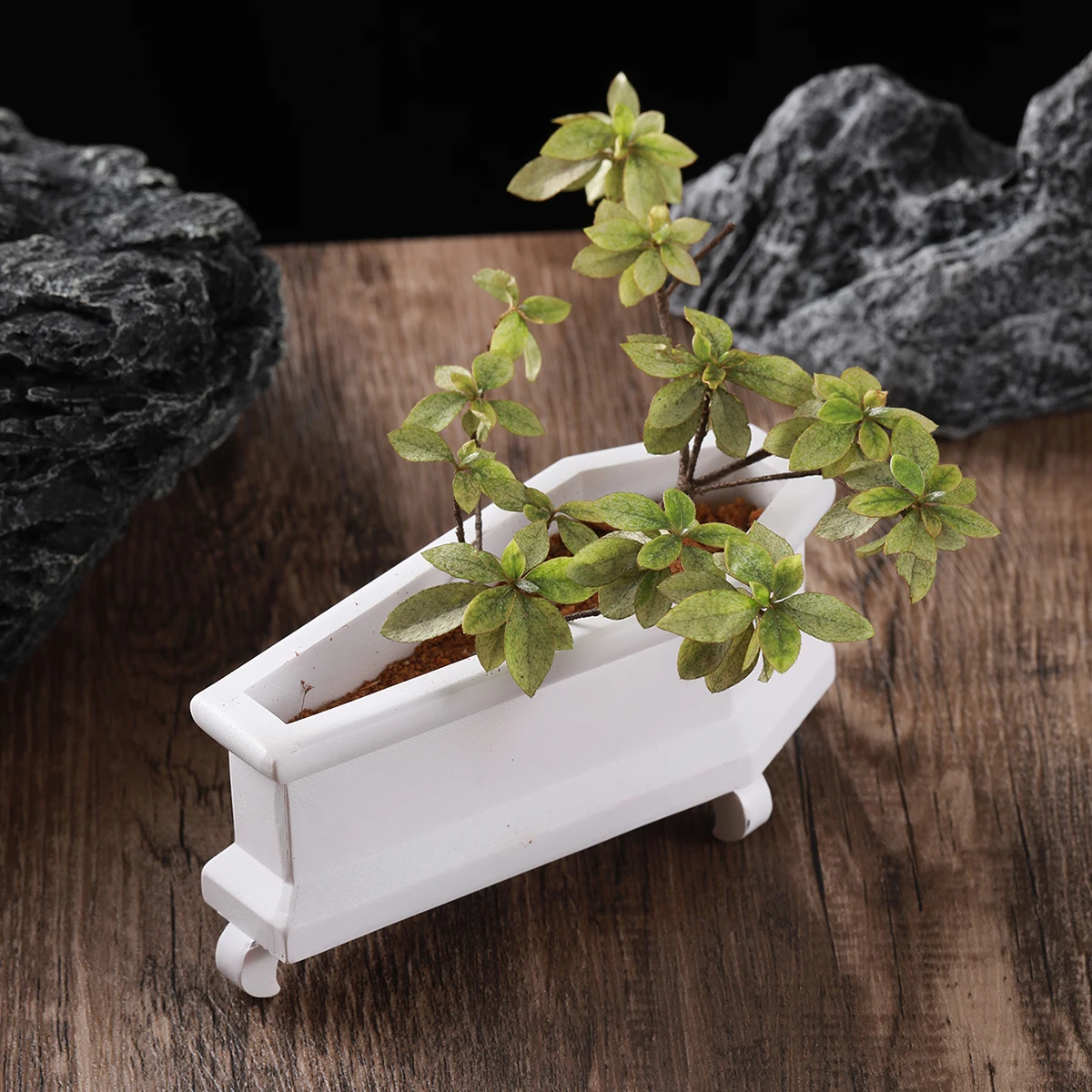 Mini fioriera per bara, suppor - Snake Plant Ceramic recensione e prezzo