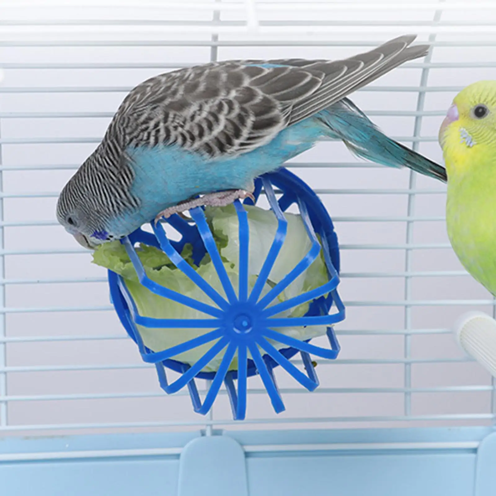 Bird Cage Fruit Vegetable Holder Anti Rust Plastic Feeder for Parrot Cockatiel Canary Bird Feeding