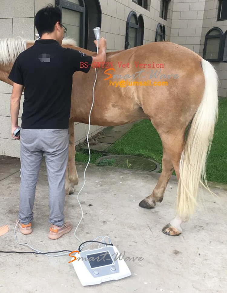 Shock wave Therapy ESWT Device for Animal Chiropractic Care