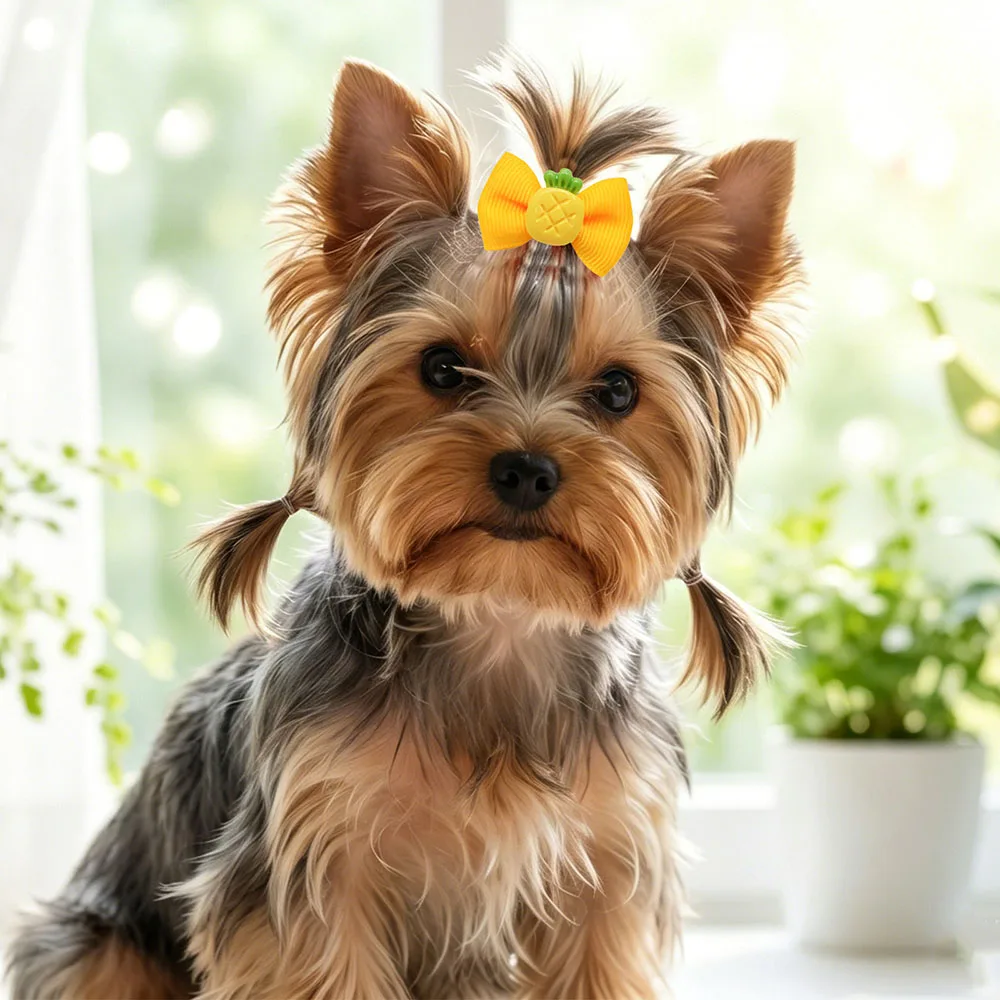 10/20/30 Stück Haarschleifen mit Frucht-Motiv für Hunde, Niedliche 3D-Frucht-Haarschleifen für Haustiere, Haarpflege-Accessoires für Welpen und Hunde – Detail 4