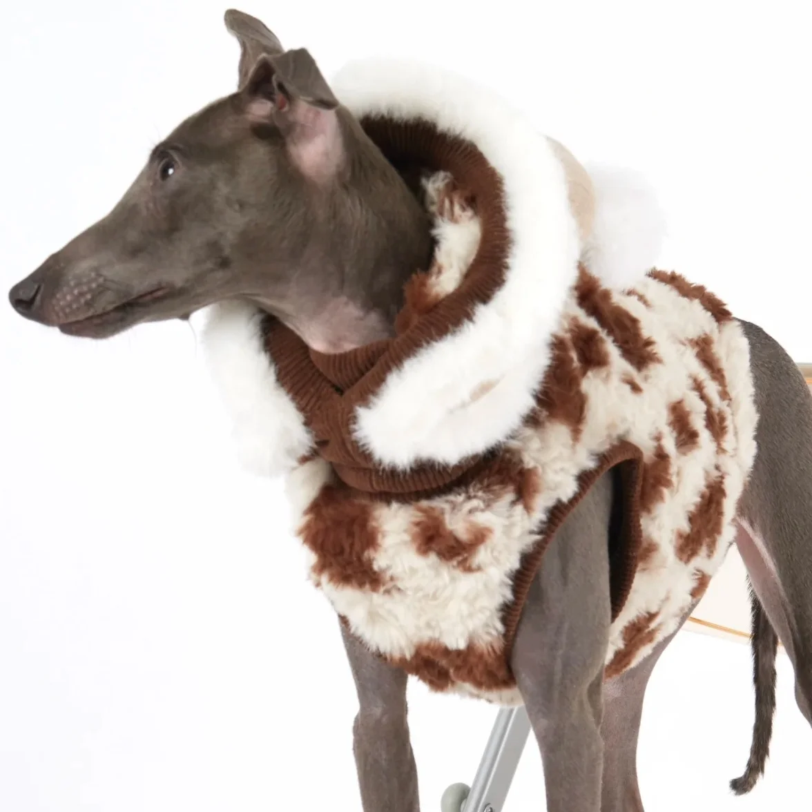 

Двусторонняя флисовая куртка для итальянского борзая, зимняя теплая элегантная кофейная жилетка, шапка, костюм для борзых, плотное пальто для уиппета