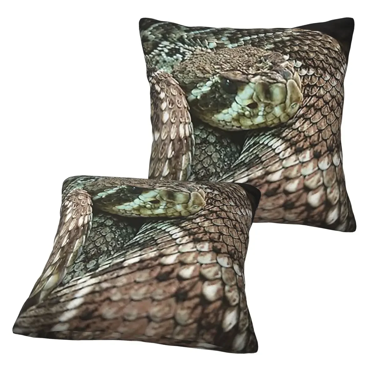 

Snake, Coiled Diamondback Rattlesnake 2 pcs Square Pillowcase Pillow Cover Cushion Zip Decorative Comfort Throw Pillow for Home