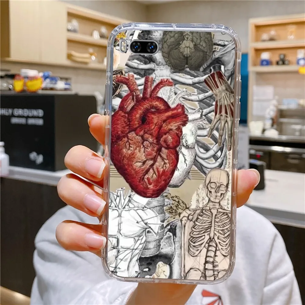 Medical Human Anatomy Phone Case For Huawei Mate P10 P20 P30 P40 P50 Smart Z Honor 50 60 70 Pro Lite Transparent Case