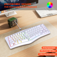 69 Key Wired Ergonomic Gaming Keyboard RGB Backlit Keyboard Silent Irregular Keyboard for Windows Linux Home Office Game PC