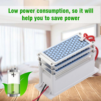 Portable 15g/h Ozone Generator, Ceramic Ozone Plate Air Water Purifier, Long Life Tri-Ozone Tablets Integrated Ozonizer for Home
