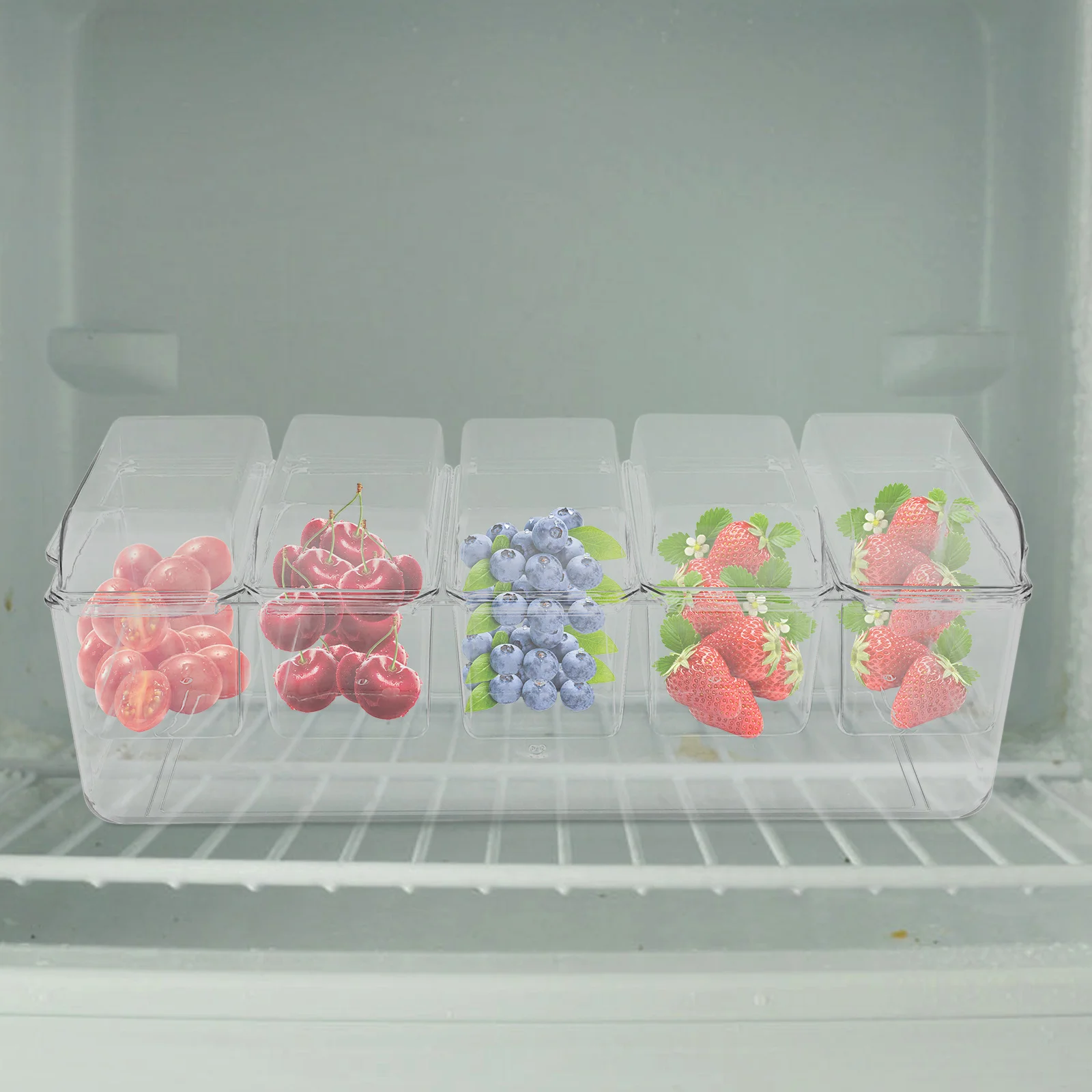 

5-Section Plastic Food Storage Container Divided Serving Tray For Salad Fruit Snacks Sauce Refrigerator Organizer Chilled