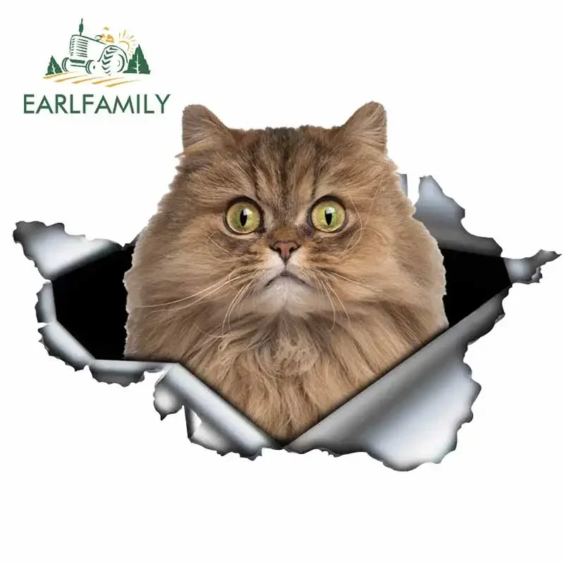 EARLFAMILY 13cm x 8.8cm For Cat Motorcycle Car Stickers Car Accessories Decal Laptop Scratch-proof Waterproof Decoration
