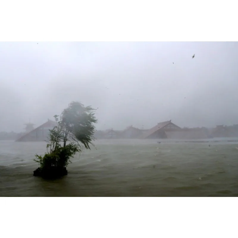 

Tiy хороший автомобиль, задний предупредительный стоп-сигнал, противотуманный фонарь, автоаксессуары, светодиодный задний фонарь для BMW X5 F15 2014 2015 2016 2017 2018