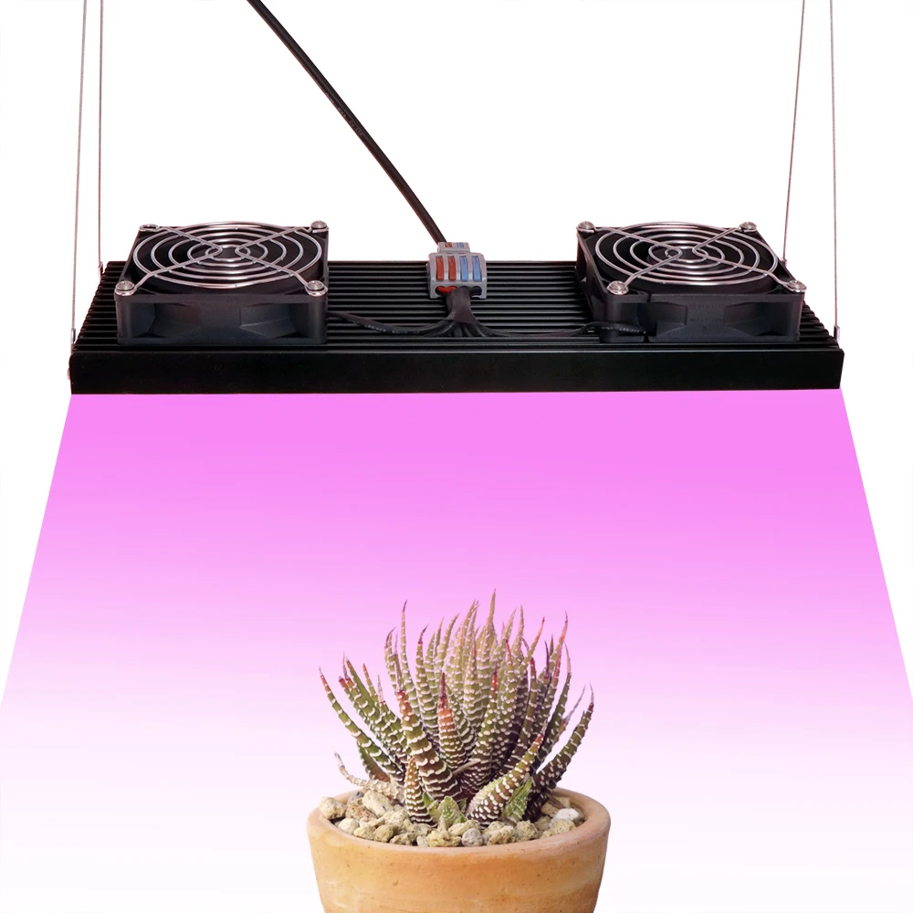 2000W LED Grow Light Dimmable Full Spectrum DOB High PPFD Phytolamp for Greenhouse Plant Growth Vegetation Blooming Flowering