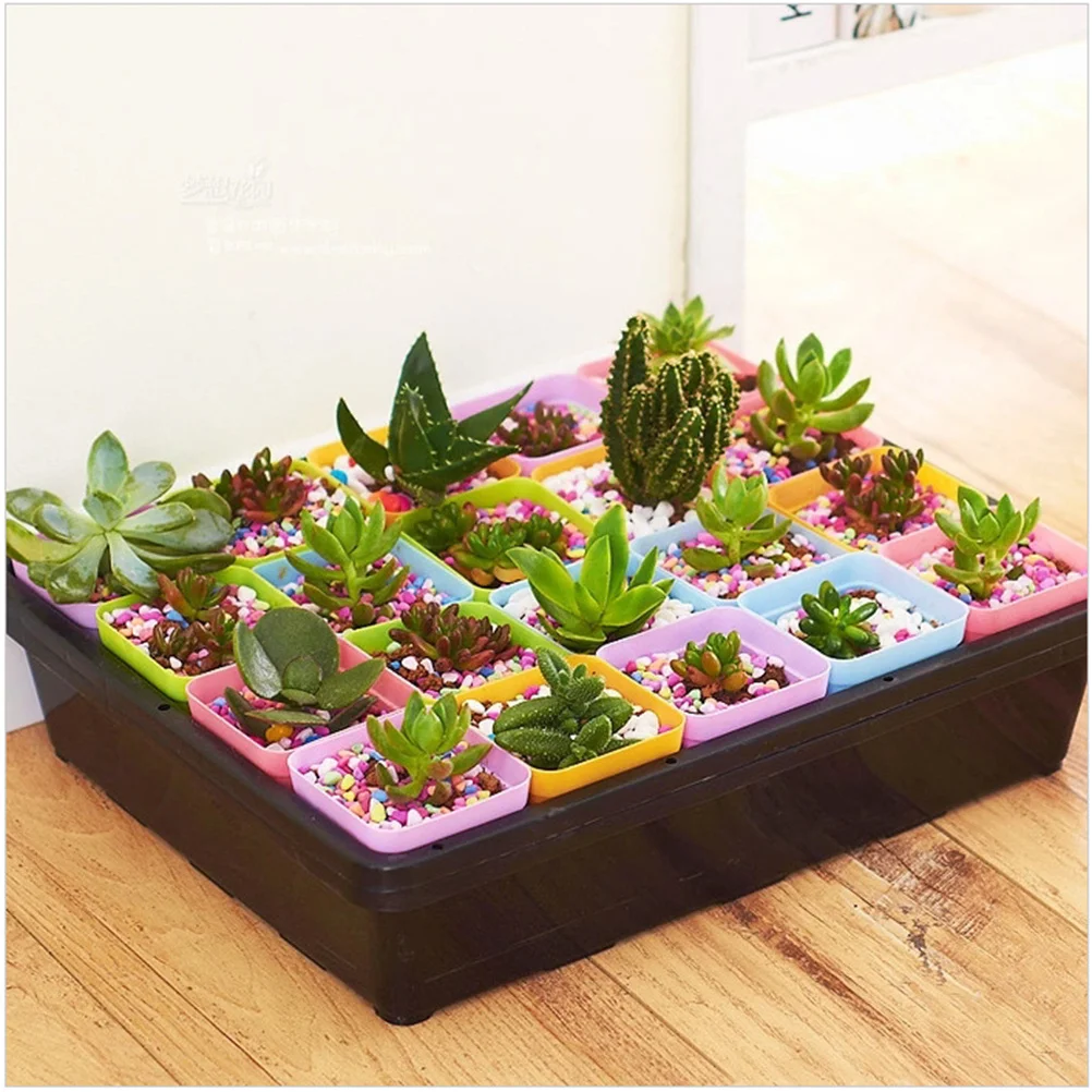 

20Pcs Plant Starter Tray Strong Wear-Resistant Plastic High Success Rate Sprouting Growing Kit for Home Garden Agriculture Use