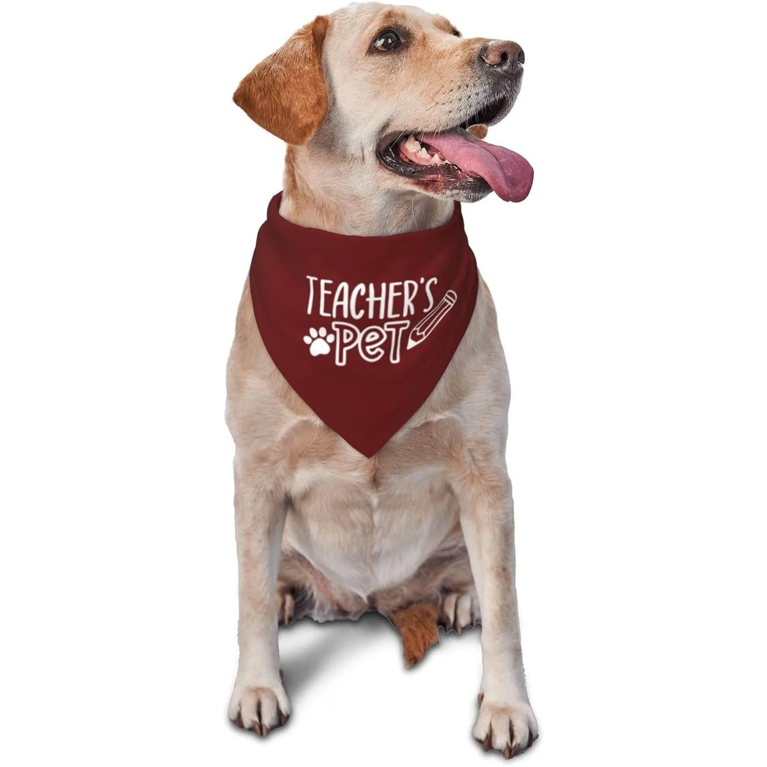 Teacher's Pet Dog Bandana,Funny Bandana Gift,Photo Prop Accessories for Dog Lovers Owner Gift,Triangle Reversible Fall Scarf