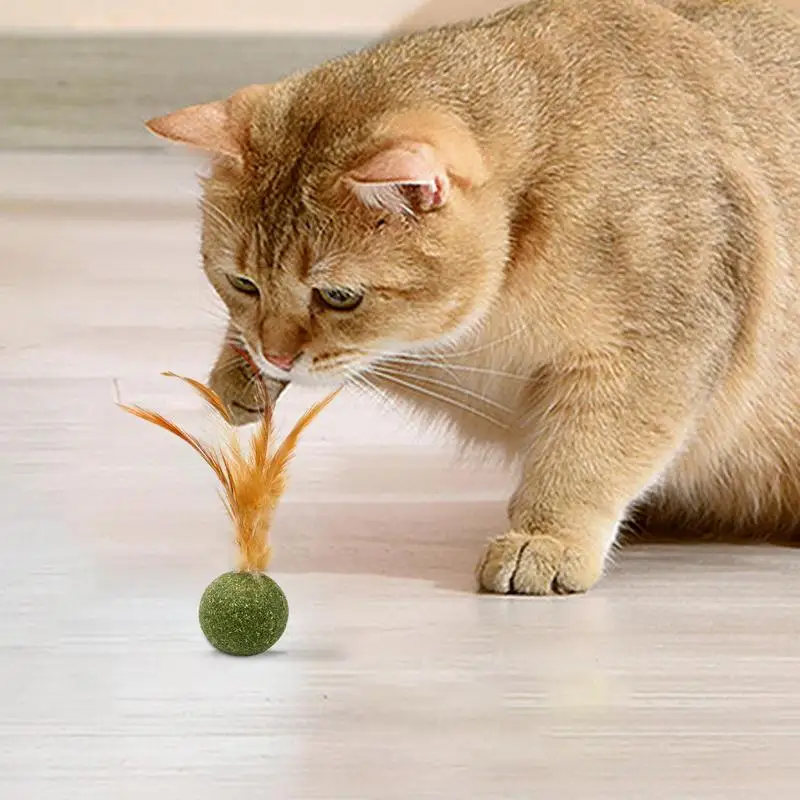 Cat Kitten Catnip Feather Ball Interactive Cat Kicker Feathers Creative Gift For Teeth Cleaning And Hair Removal Cat Toys