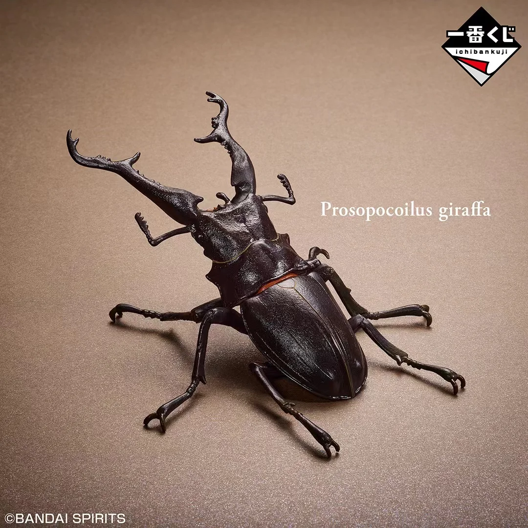 Bandai-figura DE ACCIÓN DE Lucanidae, juguete de ensamblaje de insectos biomiméticos, modelo de Gacha genuino japonés a escala, modelo cognitivo Animal