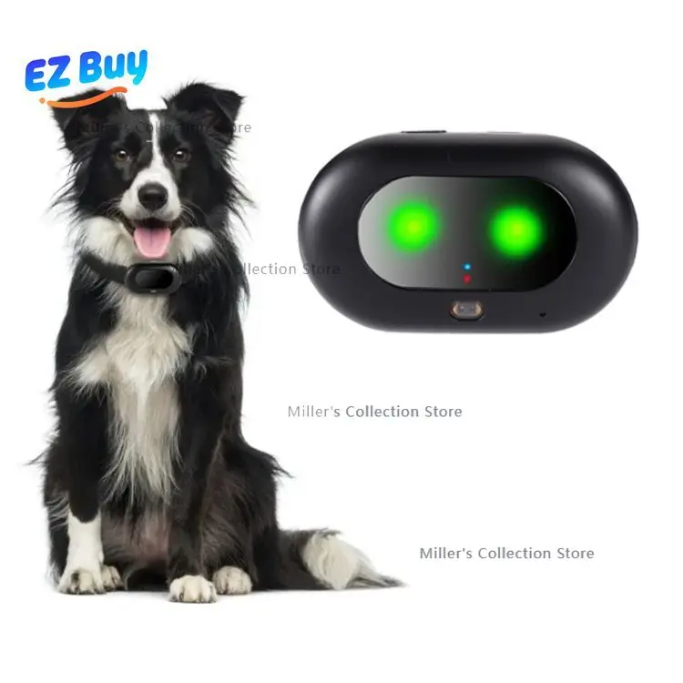 Collars Dog Activit…