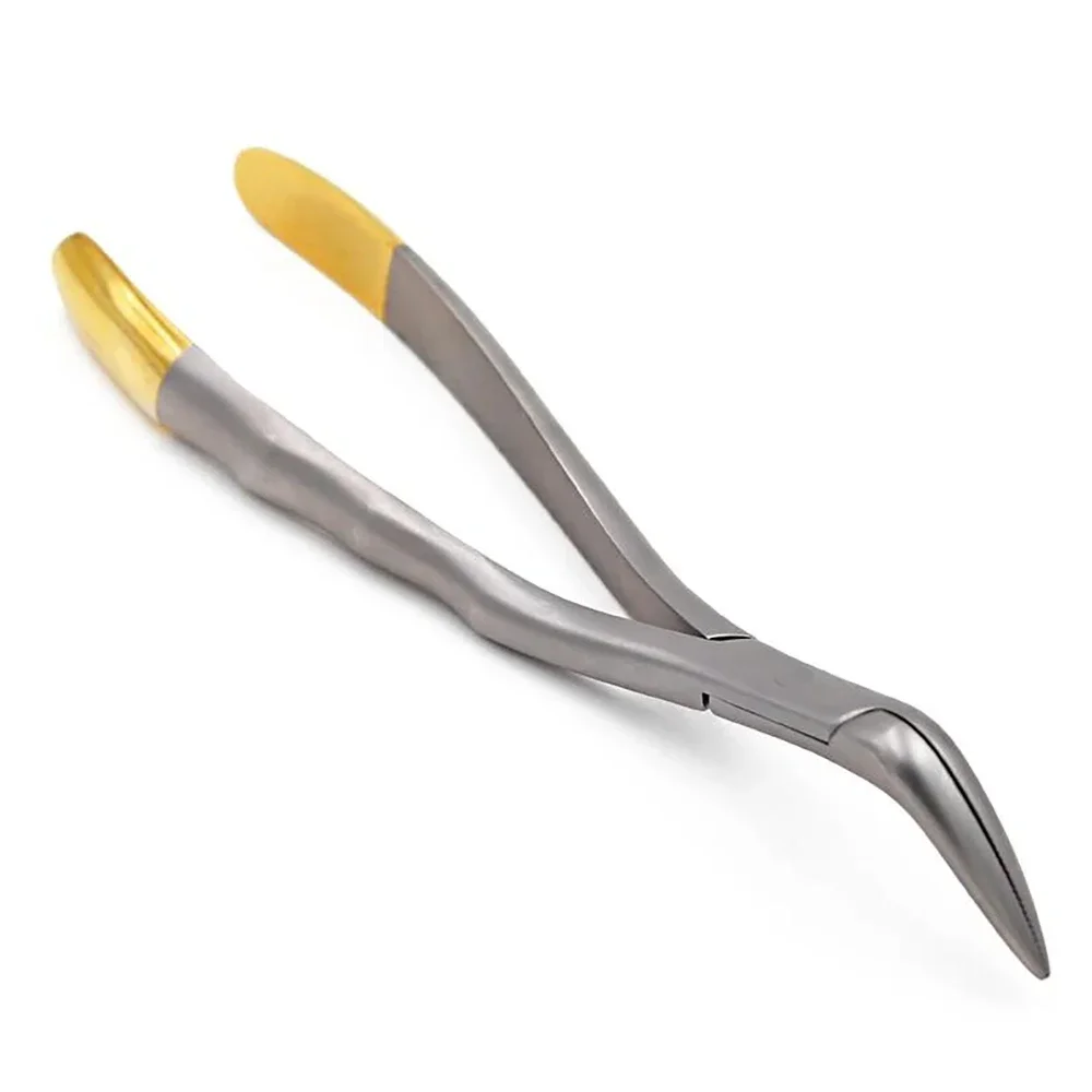 

Universal Curved Dental Root Extraction Forceps for Upper Lower Teeth Surgical Dentistry Instrument Stainless Steel