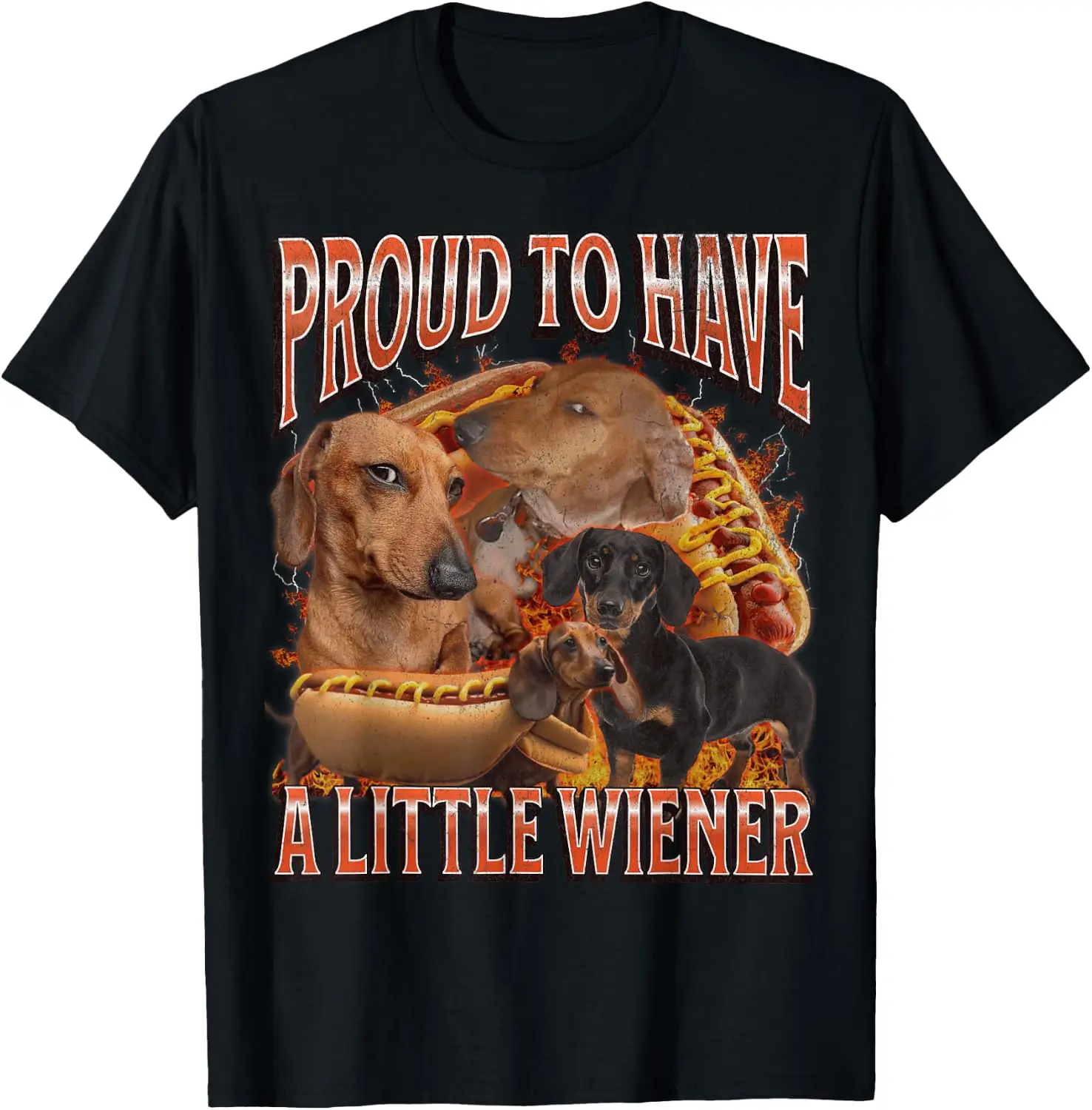 Proud To Have A Little Wiener Funny Offensive Dachshund T-Shirt